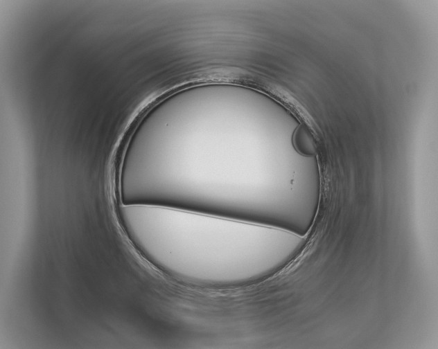 X0000113761083200909230942
