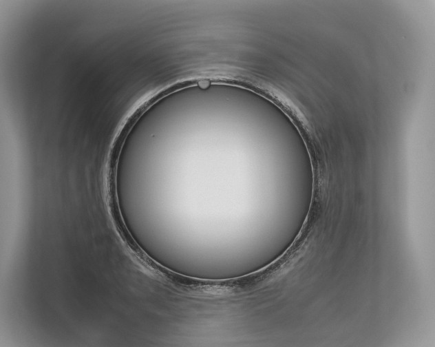 X0000113761085200909230942