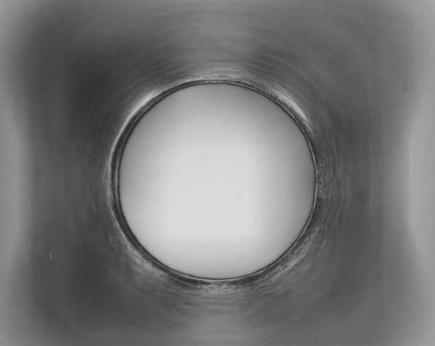 X0000113761087200909230942