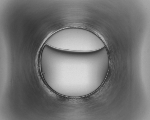 X0000113761091200909230942