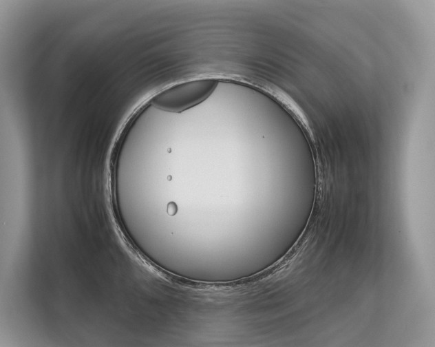 X0000113761096200909230942