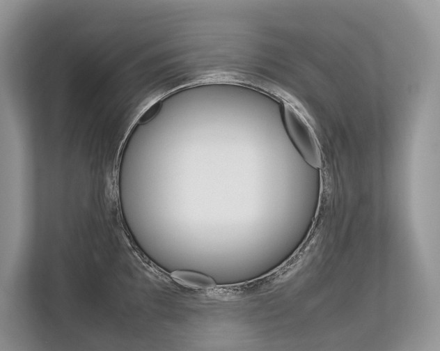 X0000113761097200909230942