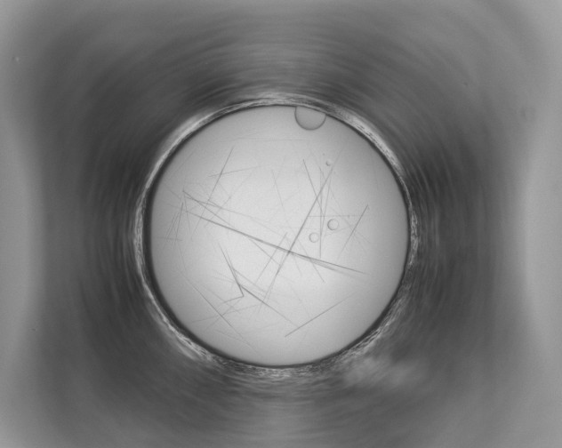 X0000113761098200909230942