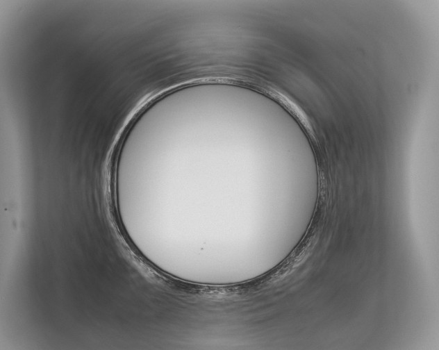 X0000113761099200909230942