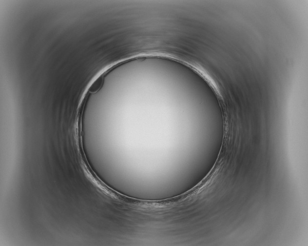 X0000113761100200909230942