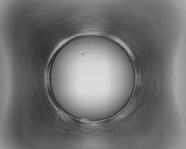 X0000113761101200909230942