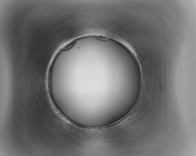 X0000113761104200909230942