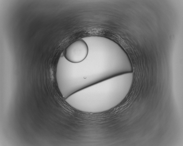 X0000113761106200909230941