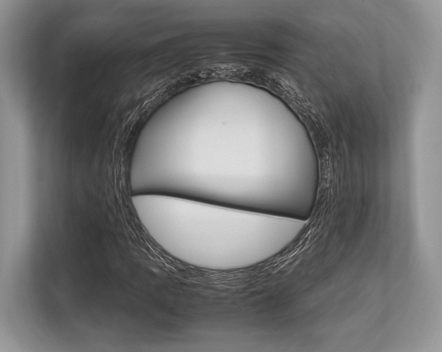 X0000113761109200909230941