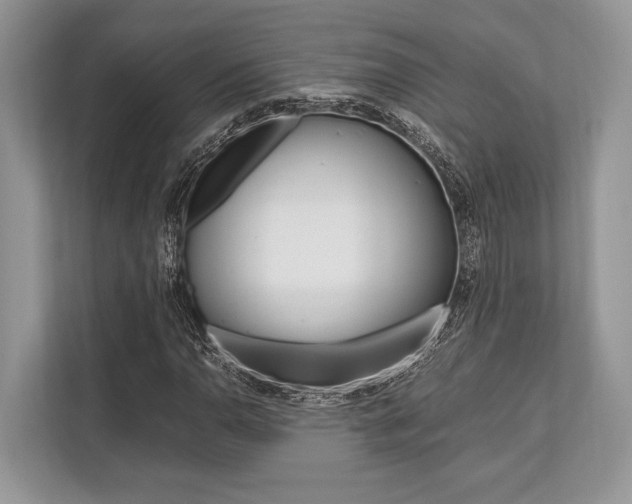X0000113761110200909230941