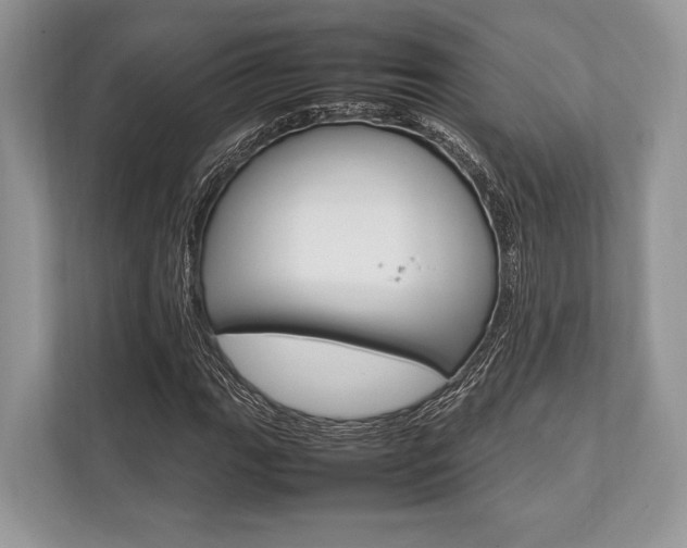 X0000113761111200909230941