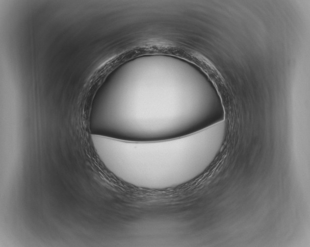 X0000113761112200909230941