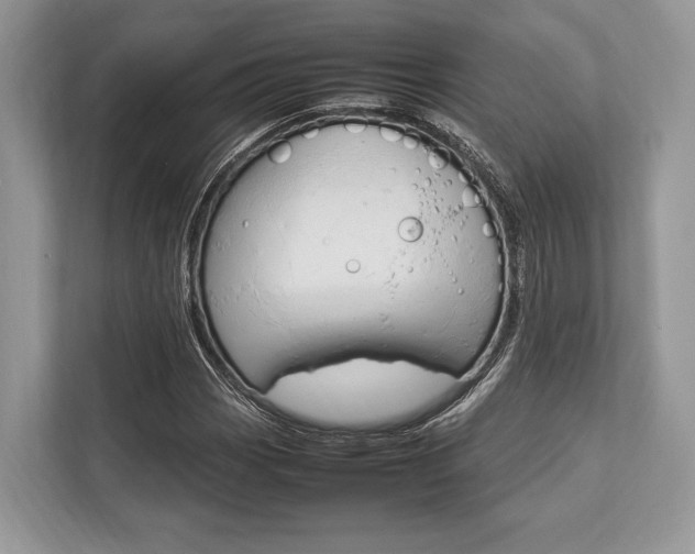 X0000113761113200909230941