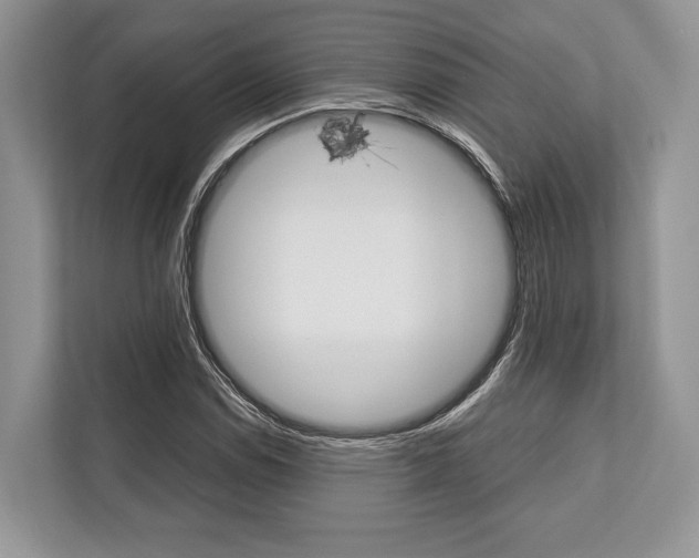 X0000113761114200909230941