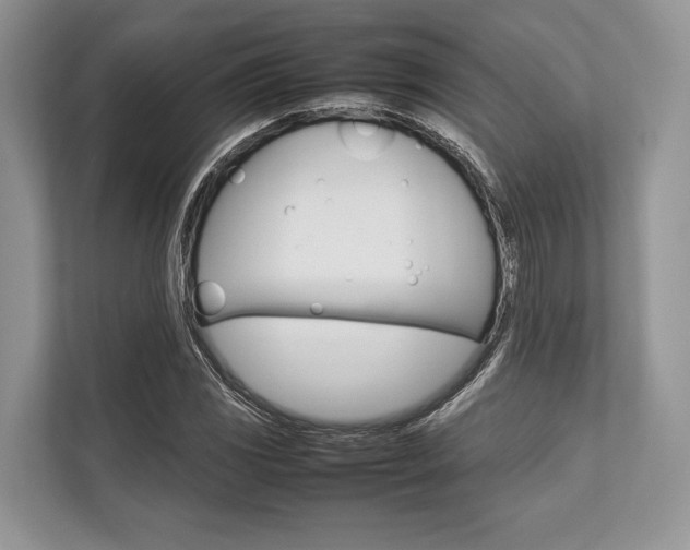 X0000113761117200909230941