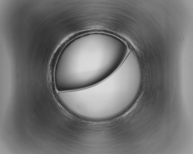 X0000113761118200909230941