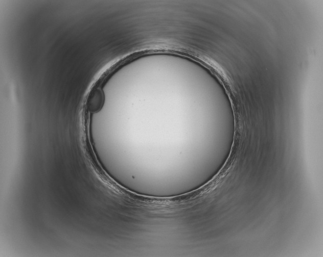 X0000113761120200909230941