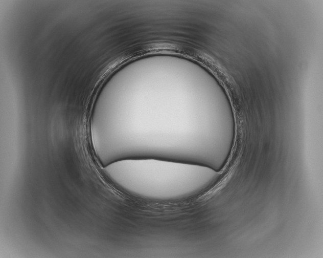 X0000113761121200909230941
