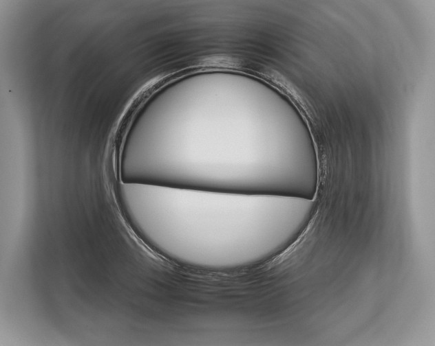 X0000113761123200909230941