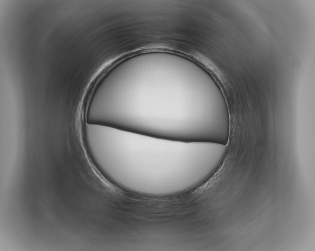 X0000113761127200909230941