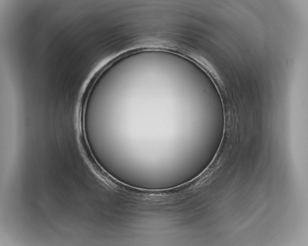 X0000113761128200909230941
