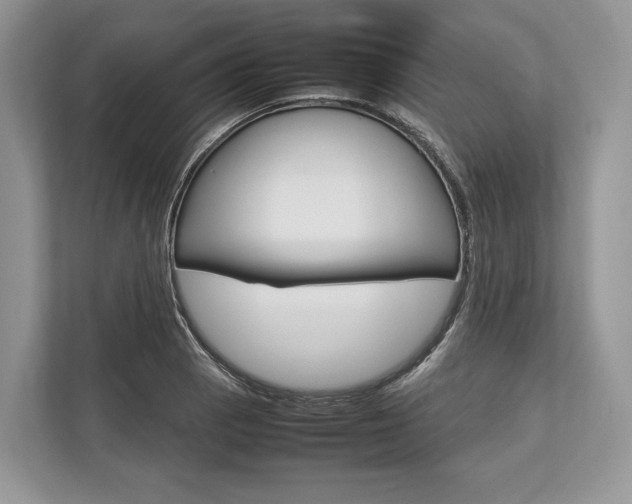 X0000113761129200909230941