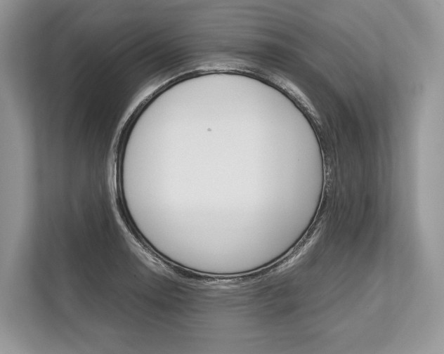 X0000113761130200909230941