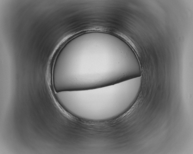 X0000113761131200909230941