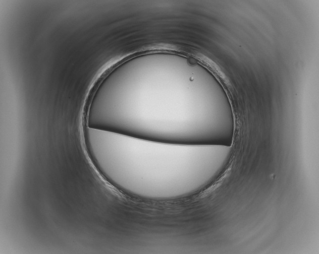 X0000113761133200909230941