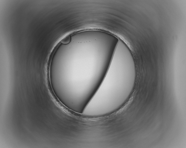 X0000113761134200909230941