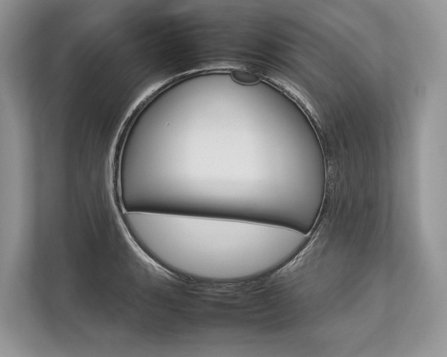 X0000113761135200909230941
