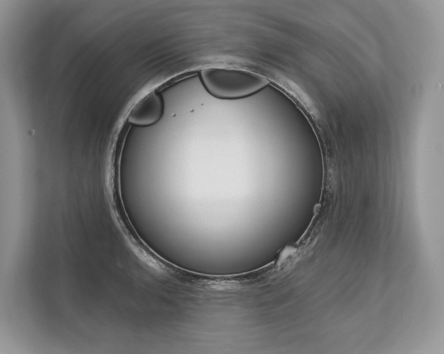 X0000113761136200909230941