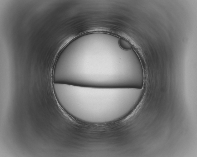 X0000113761137200909230941