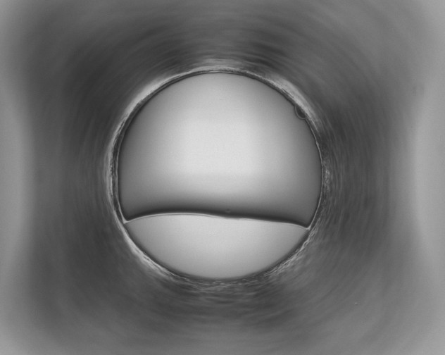 X0000113761143200909230941