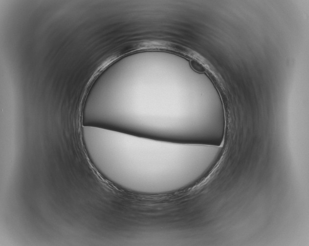 X0000113761145200909230941
