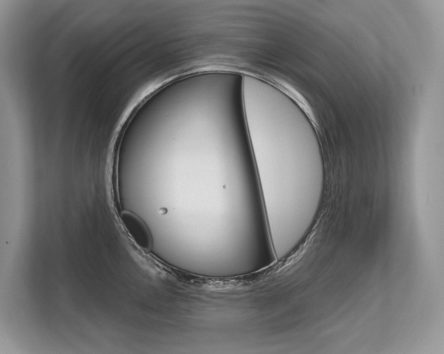 X0000113761146200909230942