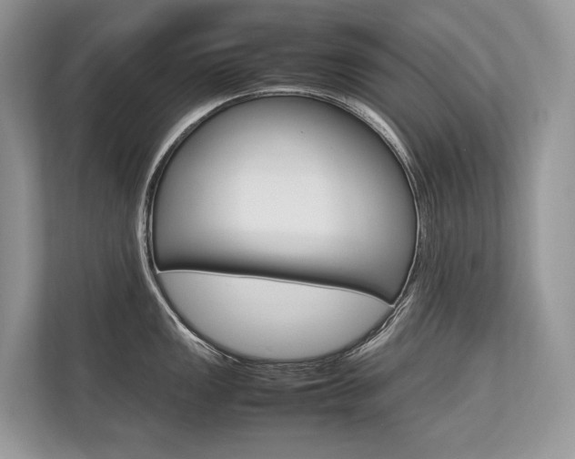 X0000113761149200909230942