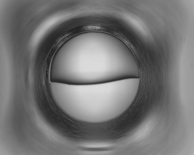 X0000113761151200909230942