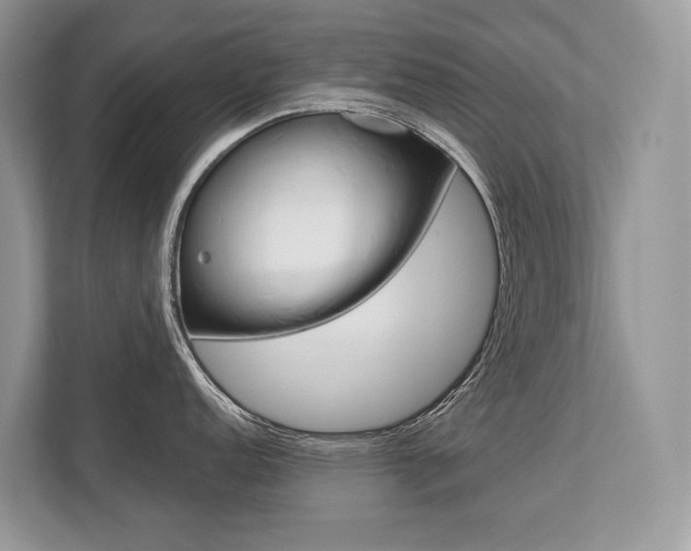 X0000113761152200909230942