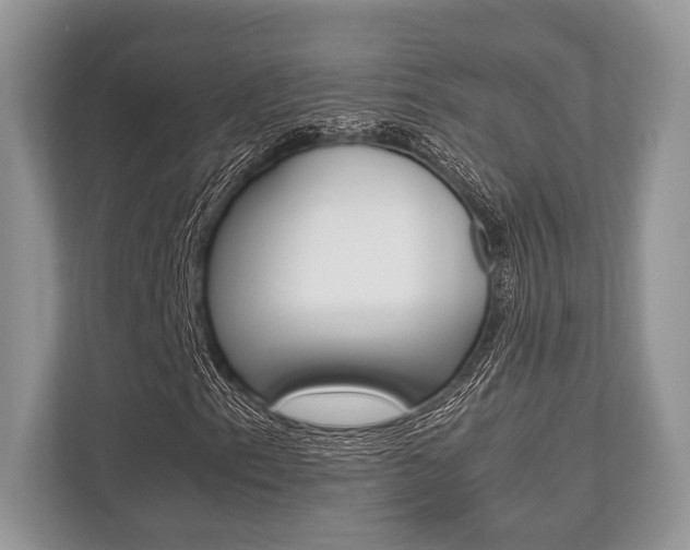 X0000113761153200909230941