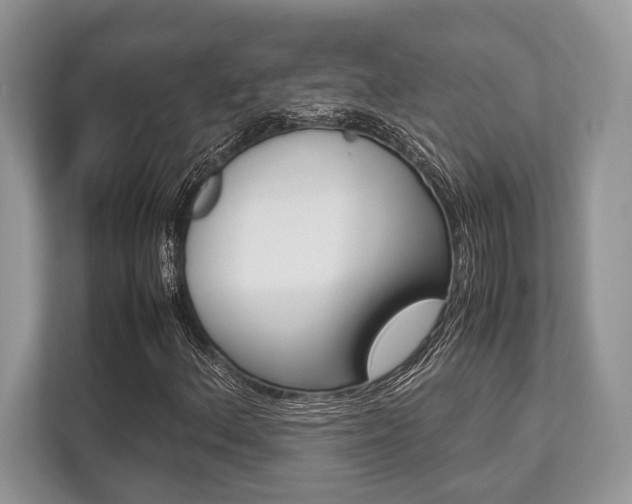 X0000113761156200909230941