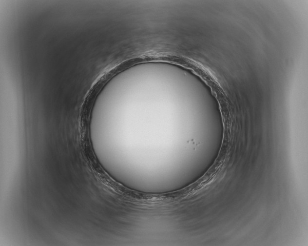 X0000113761160200909230941