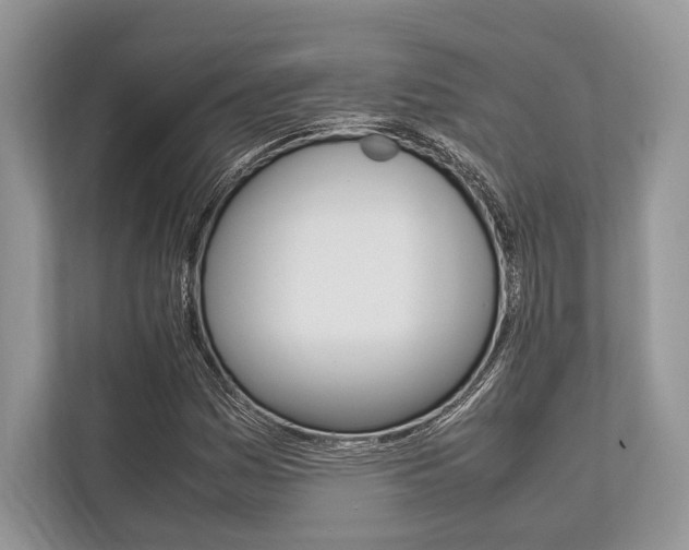 X0000113761161200909230941