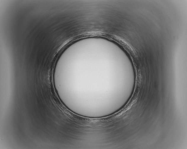 X0000113761162200909230941