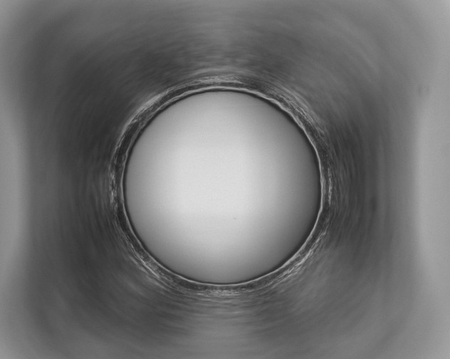 X0000113761164200909230941