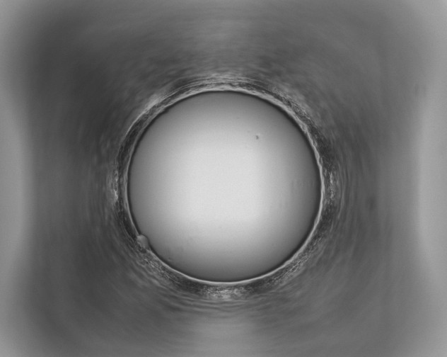 X0000113761165200909230941