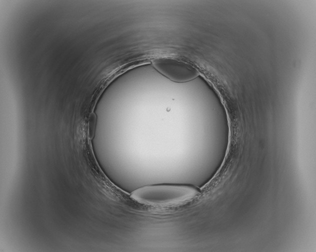 X0000113761169200909230941