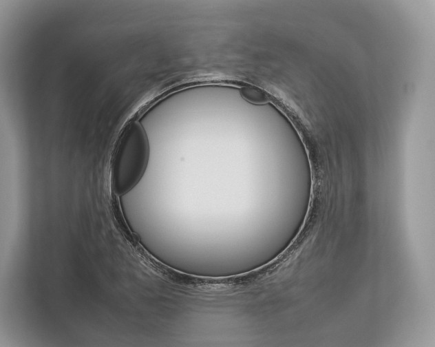 X0000113761173200909230941
