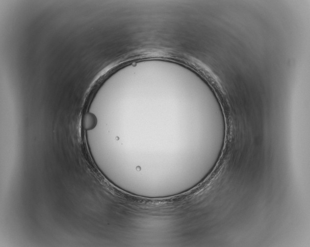 X0000113761174200909230941