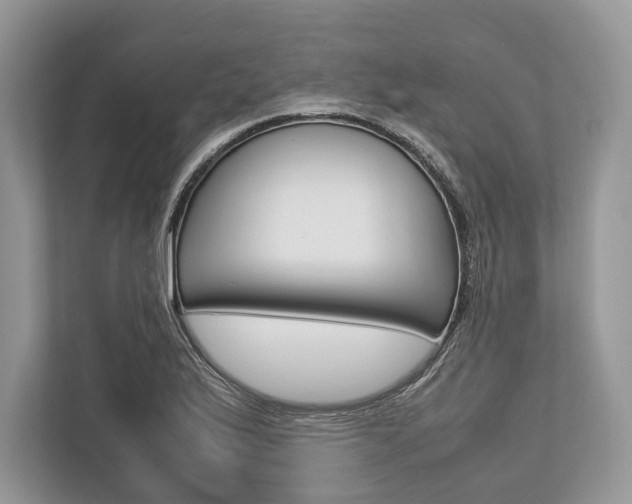 X0000113761175200909230941